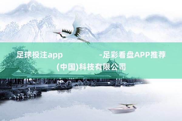 足球投注app                 -足彩看盘APP推荐(中国)科技有限公司